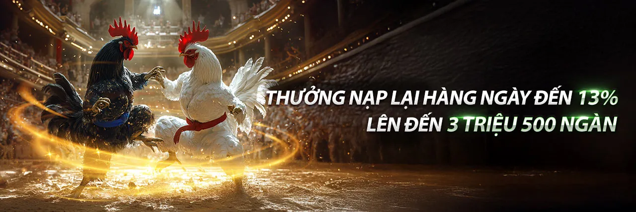 Hình ảnh đại diện rr8822, minh họa cam kết và giá trị cốt lõi