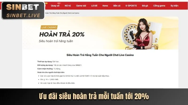 Hoàn trả tiền cược hàng ngày không giới hạn tại rr8822
